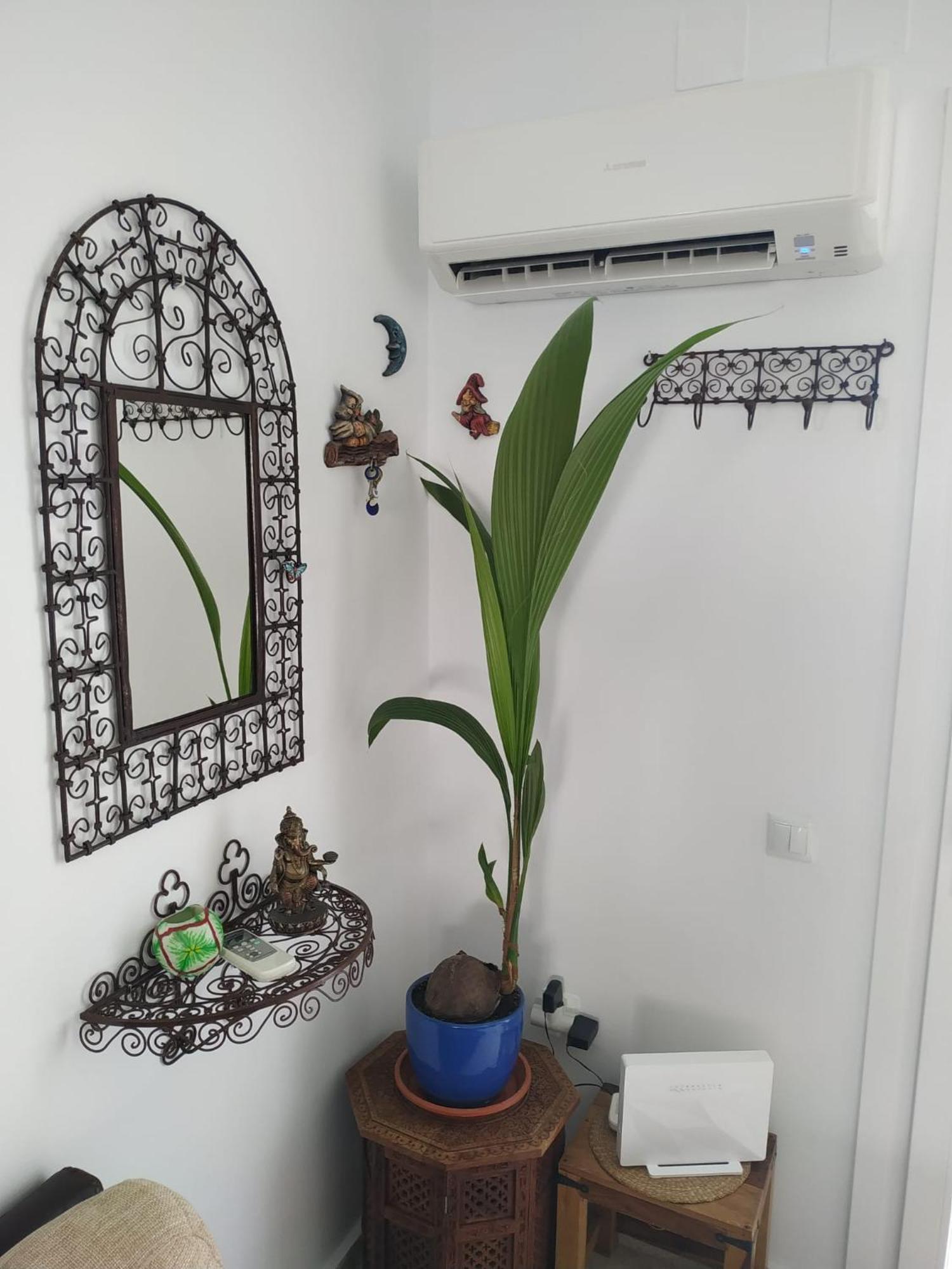 La Barrosa Duplex Villa Chiclana de la Frontera Kültér fotó