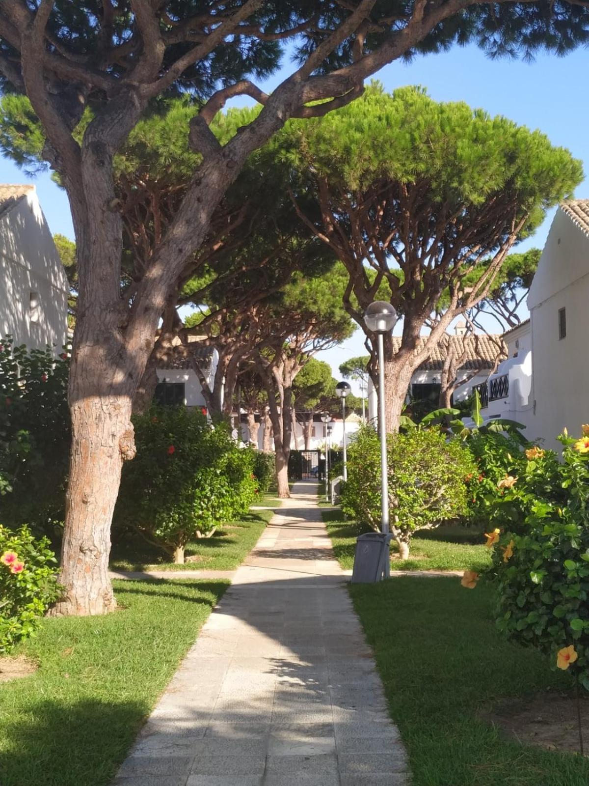 La Barrosa Duplex Villa Chiclana de la Frontera Kültér fotó